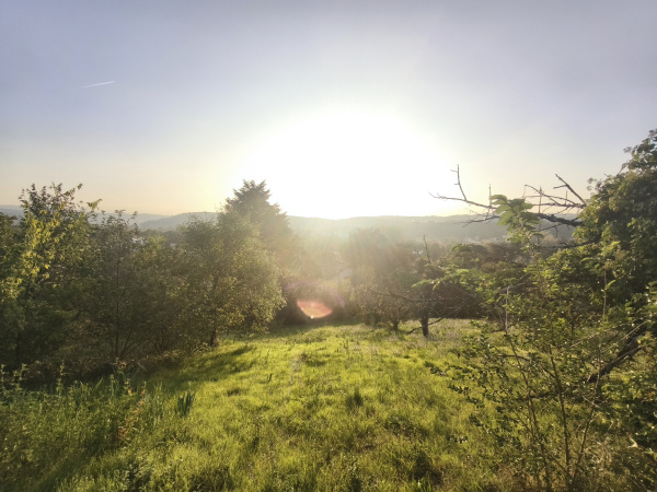 Offres de vente Terrain à batir Grigny-sur-Rhône 69520