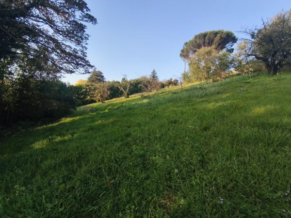 Offres de vente Terrain à batir Grigny-sur-Rhône 69520