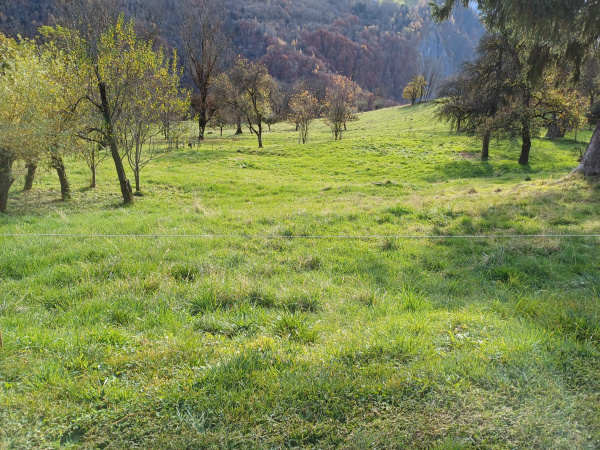 Offres de vente Terrain à batir Saint-François-Longchamp 73130